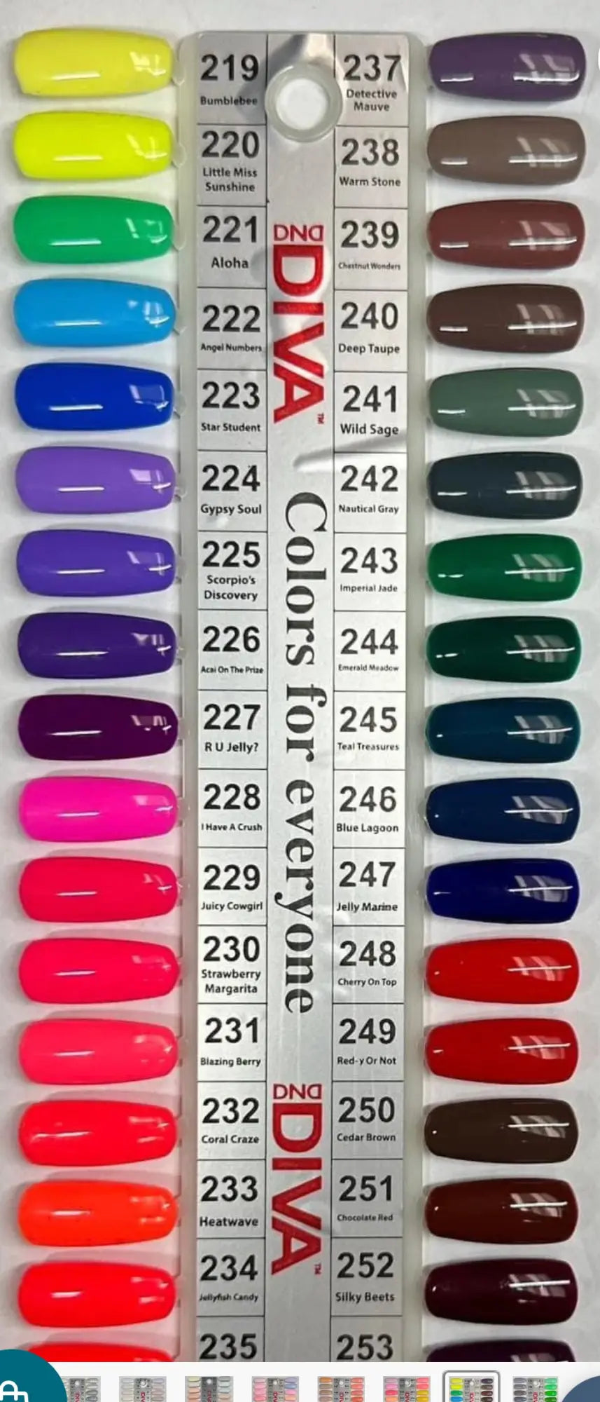 DIVA Matching Duo #219 - #254