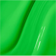 APRÉS GEL COULEUR 203 KUNG FU TORTOISE - OceanNailSupply