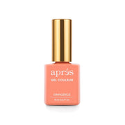 APRÉS GEL COULEUR 221 ORANGESICLE - OceanNailSupply