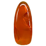 Caramia Jelly Polish #CA11 - OceanNailSupply