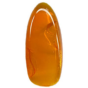 Caramia Jelly Polish #CA12 - OceanNailSupply