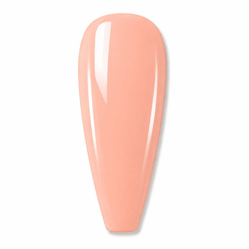 MAXIE BUILDER GEL IN JAR - 12 - OceanNailSupply