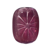 MaXie Glass Cat Eye Collection – 24 Magnetic Gel Colors (HEMA & TPO Free) - OceanNailSupply