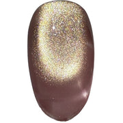 Nail Kingdom - Endless Glow Cat Eye Collection - 36 Colors - OceanNailSupply