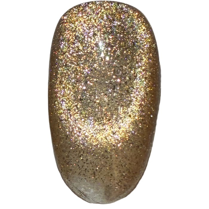 Nail Kingdom - Endless Glow Cat Eye Collection - 36 Colors - OceanNailSupply