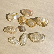 PRESTO BUBBLING GEL [8G] [JAR] - OceanNailSupply