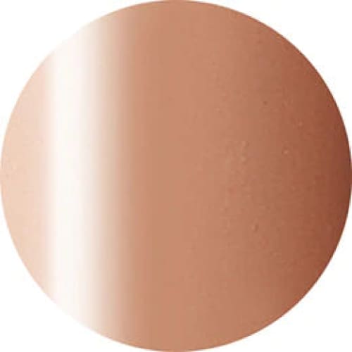 PRESTO COLOR GEL #064 [10G] [BOTTLE] [REBRANDED] - OceanNailSupply