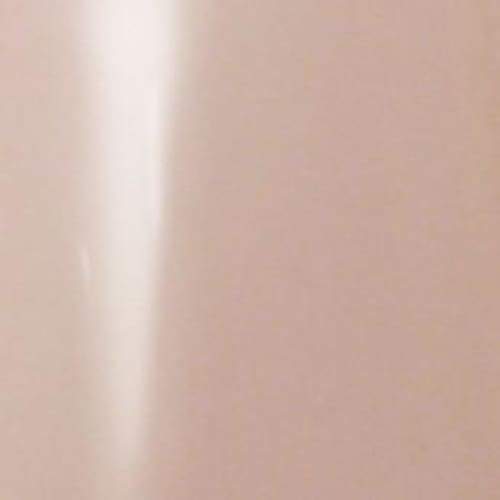 PRESTO COLOR GEL 1/2OZ #138 [BOTTLE] - OceanNailSupply