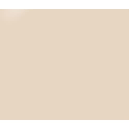 PRESTO COLOR GEL #201 [10G][BOTTLE][REBRANDED] - OceanNailSupply