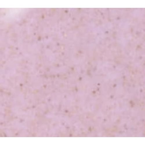 PRESTO COLOR GEL #298 [10G][BOTTLE][REBRANDED] - OceanNailSupply