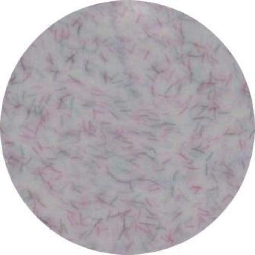 PRESTO COLOR GEL #323 [2.7G] [JAR] [NEW] - OceanNailSupply