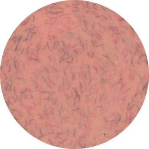 PRESTO COLOR GEL #329 [2.7G] [JAR] [NEW] - OceanNailSupply