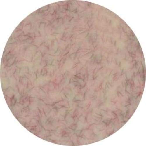 PRESTO COLOR GEL #333 [2.7G] [JAR] [REBRANDED] - OceanNailSupply