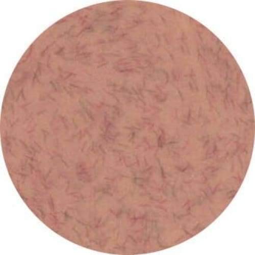 PRESTO COLOR GEL #335 [2.7G] [JAR] [REBRANDED] - OceanNailSupply