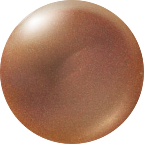 PRESTO COLOR GEL #343 [10G] [BOTTLE] [NEW] - OceanNailSupply