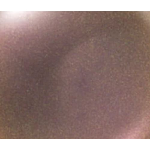 PRESTO COLOR GEL #344 [10G][BOTTLE][REBRANDED] - OceanNailSupply