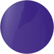 PRESTO COLOR GEL SC-049 [BOTTLE] - OceanNailSupply