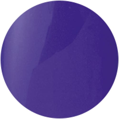 PRESTO COLOR GEL SC-049 [BOTTLE] - OceanNailSupply