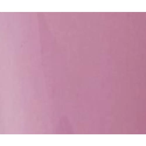 PRESTO COLOR GEL S055 [10G][BOTTLE][REBRANDED] - OceanNailSupply