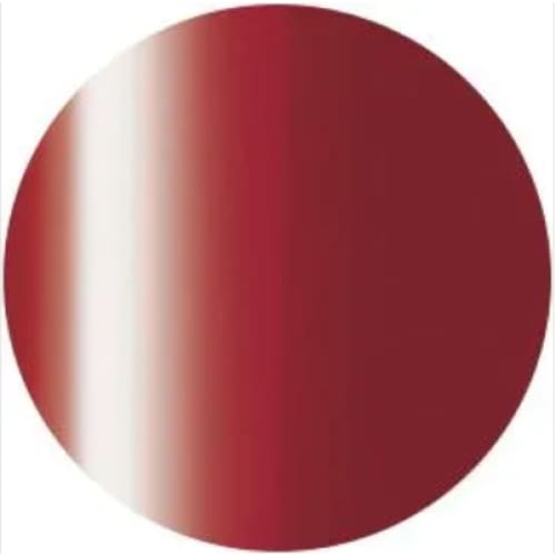 PRESTO COLOR GEL S294 [10G] [BOTTLE] [REBRANDED] - OceanNailSupply