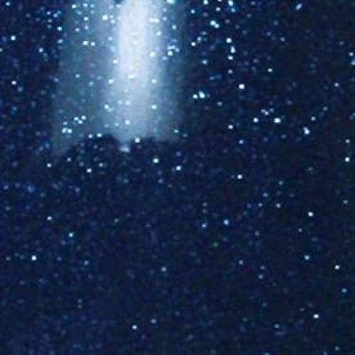 PRESTO COLOR GEL SC-120 [BOTTLE] - OceanNailSupply