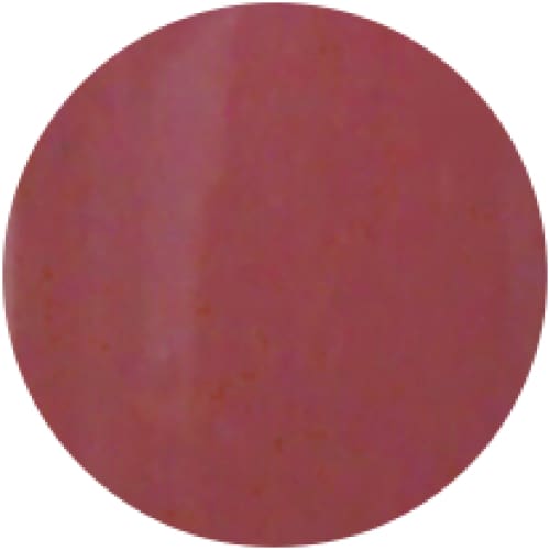 PRESTO COLOR GEL SC-155 [BOTTLE] - OceanNailSupply