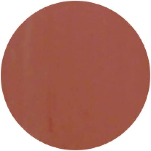 PRESTO COLOR GEL SC-156 [BOTTLE] - OceanNailSupply