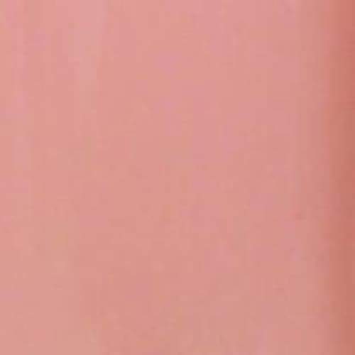 [Backorder] PRESTO COLOR GEL SC-160 [BOTTLE] - OceanNailSupply