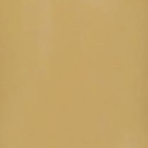 PRESTO COLOR GEL SC-177 [BOTTLE] - OceanNailSupply