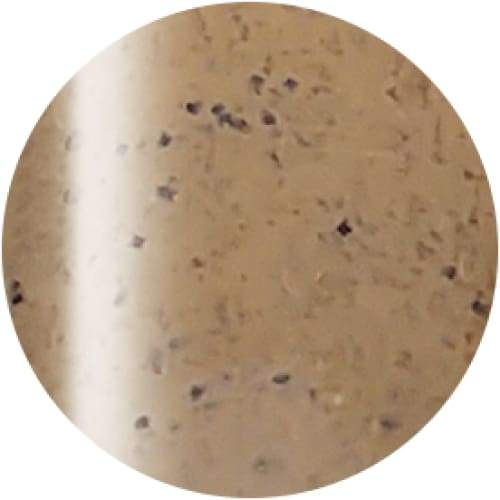 PRESTO COLOR GEL SC-302 [10G] [BOTTLE] - OceanNailSupply