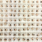 4745 Swarovski Star Fancy Collection - OceanNailSupply