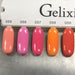 Gelixir collection 101-108 (gel only) - OceanNailSupply