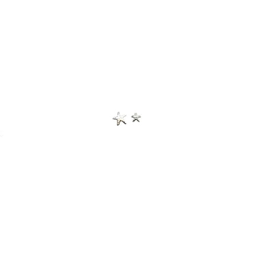 Japanese Studs Starfish [SILVER] - OceanNailSupply