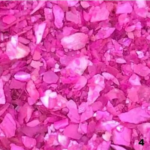 Ocean Vivid Shell 3g - OceanNailSupply