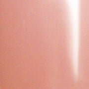 PRESTO COLOR GEL #169 [2.7G] [JAR] - OceanNailSupply