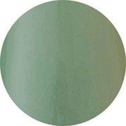 PRESTO COLOR GEL #190 [2.7G] [JAR] - OceanNailSupply