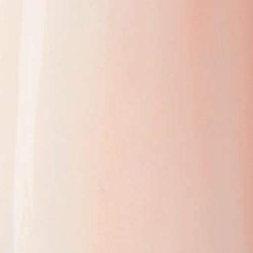 PRESTO COLOR GEL 2.7g #101 ORDINARIO [JAR] - OceanNailSupply