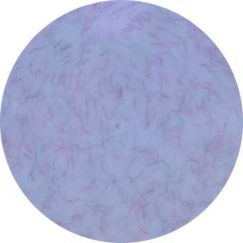 PRESTO COLOR GEL #325 [2.7G] [JAR] [NEW] - OceanNailSupply