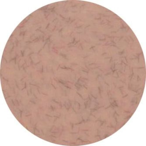 PRESTO COLOR GEL #327 [2.7G] [JAR] [NEW] - OceanNailSupply