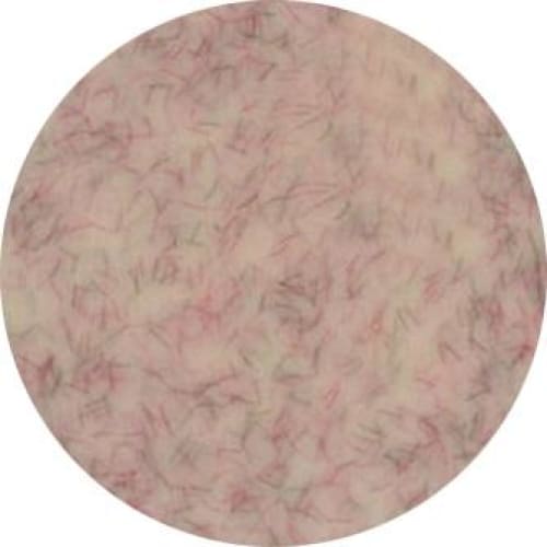 PRESTO COLOR GEL #333 [2.7G] [JAR] [REBRANDED] - OceanNailSupply