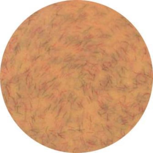 PRESTO COLOR GEL #334 [2.7G] [JAR] [REBRANDED] - OceanNailSupply