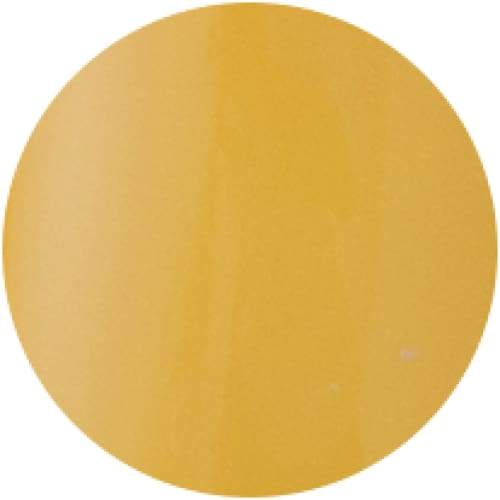 PRESTO COLOR GEL SC-071 [BOTTLE] - OceanNailSupply