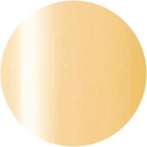 PRESTO COLOR GEL SC-284 [BOTTLE] - OceanNailSupply