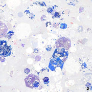 Unicorn Poop Glitter - OceanNailSupply